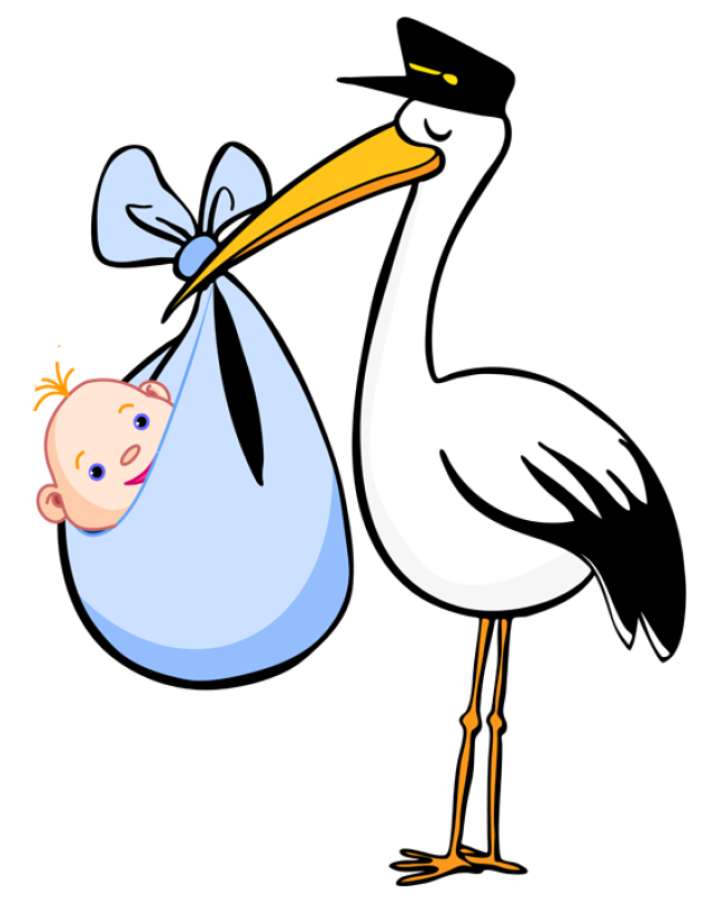 Free clip art for. Young clipart unisex baby
