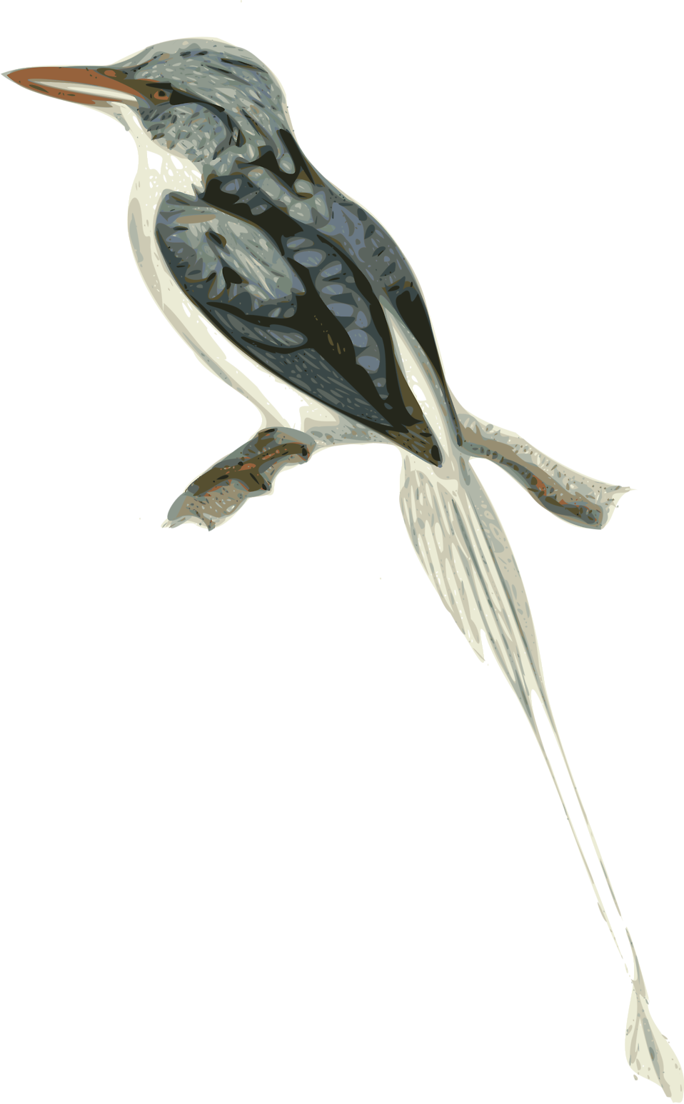 Free stock photo illustration. Clipart bird branch