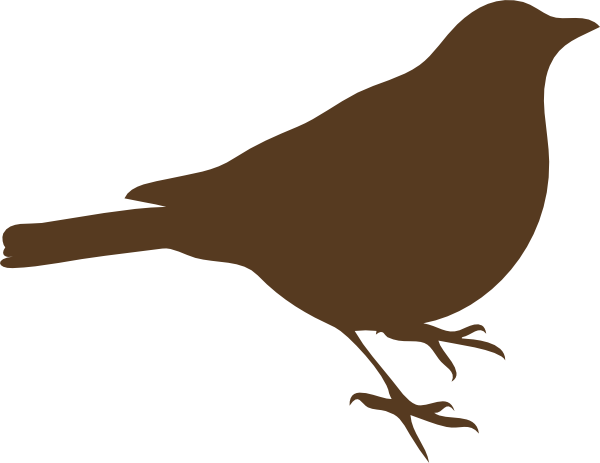 clipart bird brown