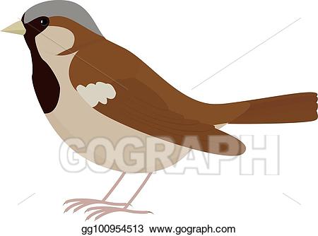 Clipart bird brown. Vector stock cartoon sparrow