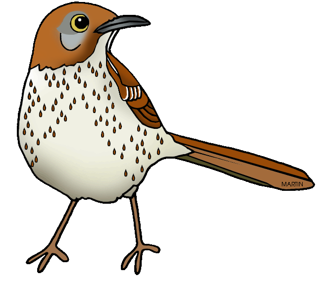 clipart bird brown