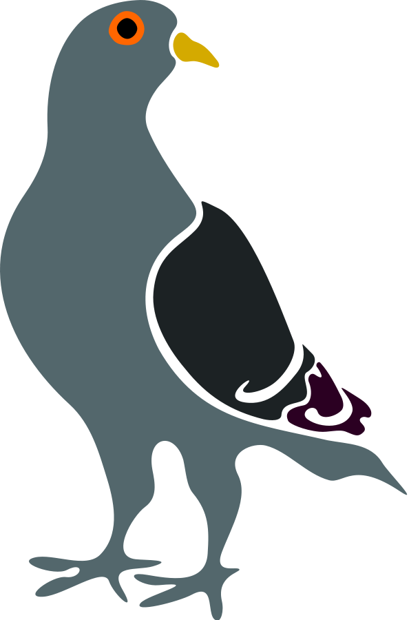 pigeon clipart paloma