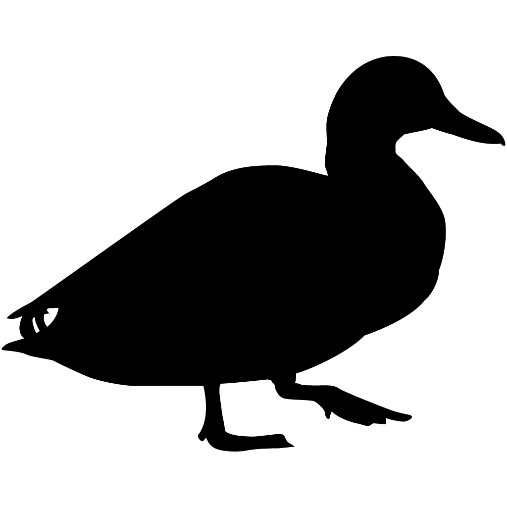 Ducks flying silhouette at. Water clipart mallard duck