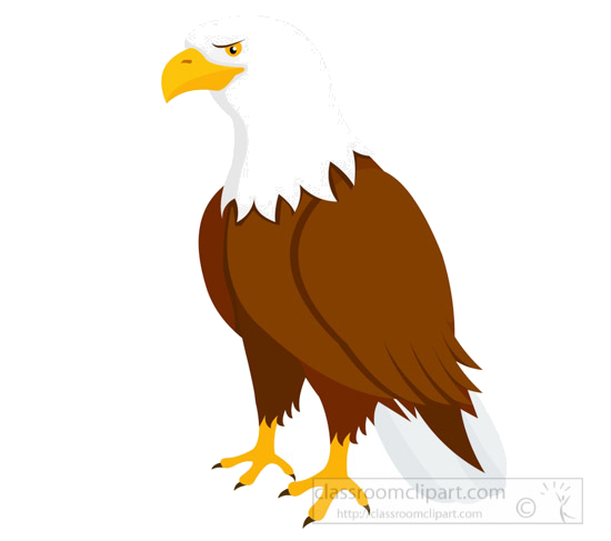 clipart birds eagle