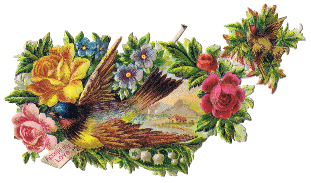 Birds and floral clip. Nest clipart vintage