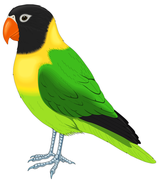 falcon clipart finch