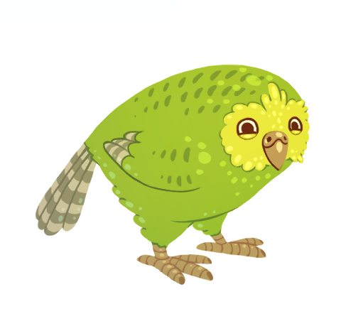 parrot clipart kakapo