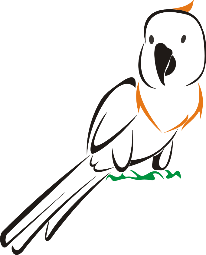 clipart bird kakatua