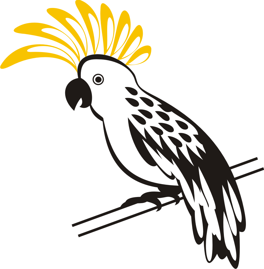 clipart bird kakatua