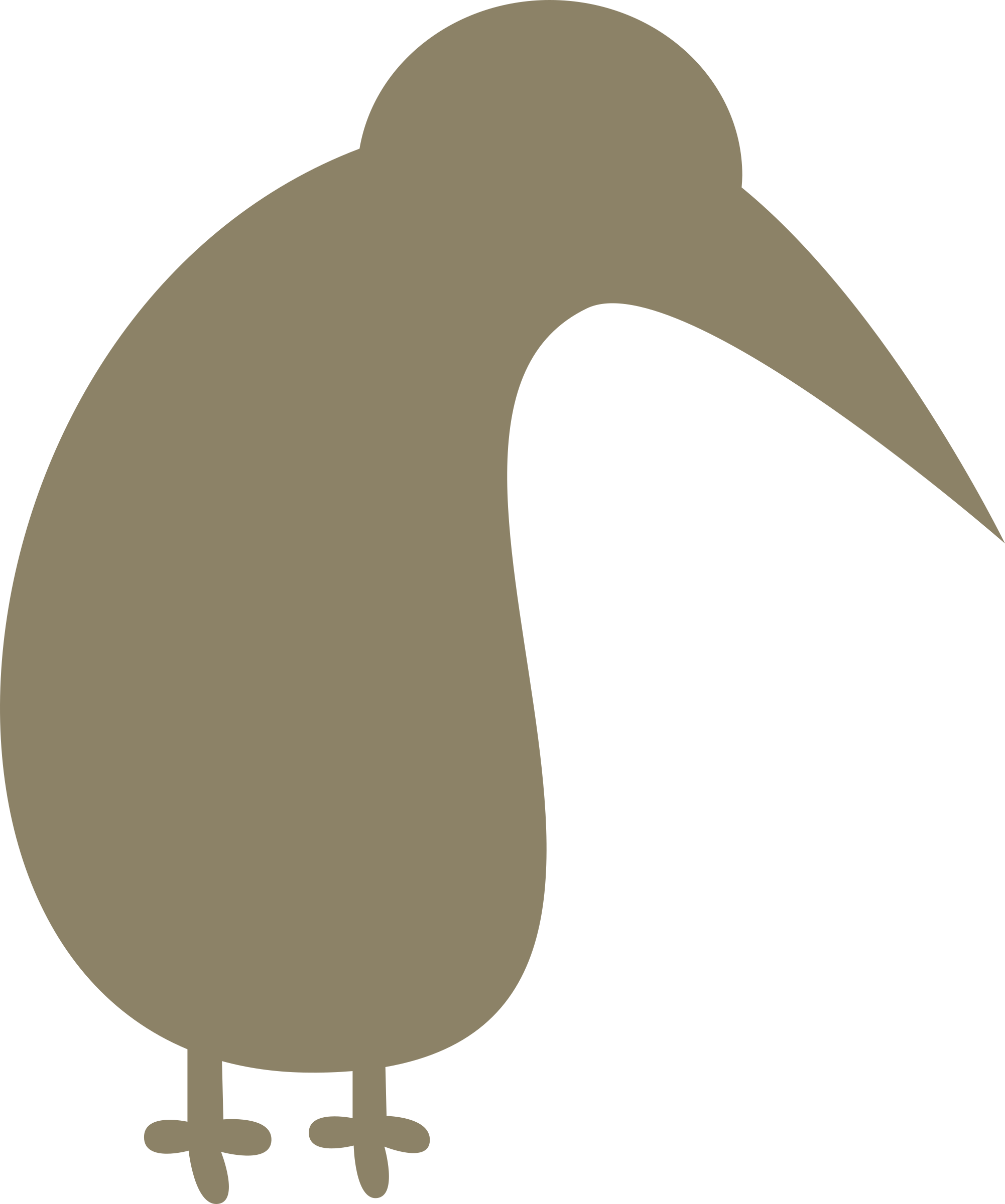 Kiwi flightless bird
