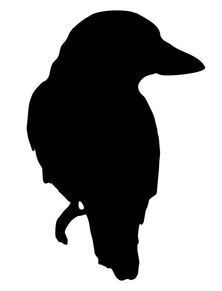 clipart birds kookaburra