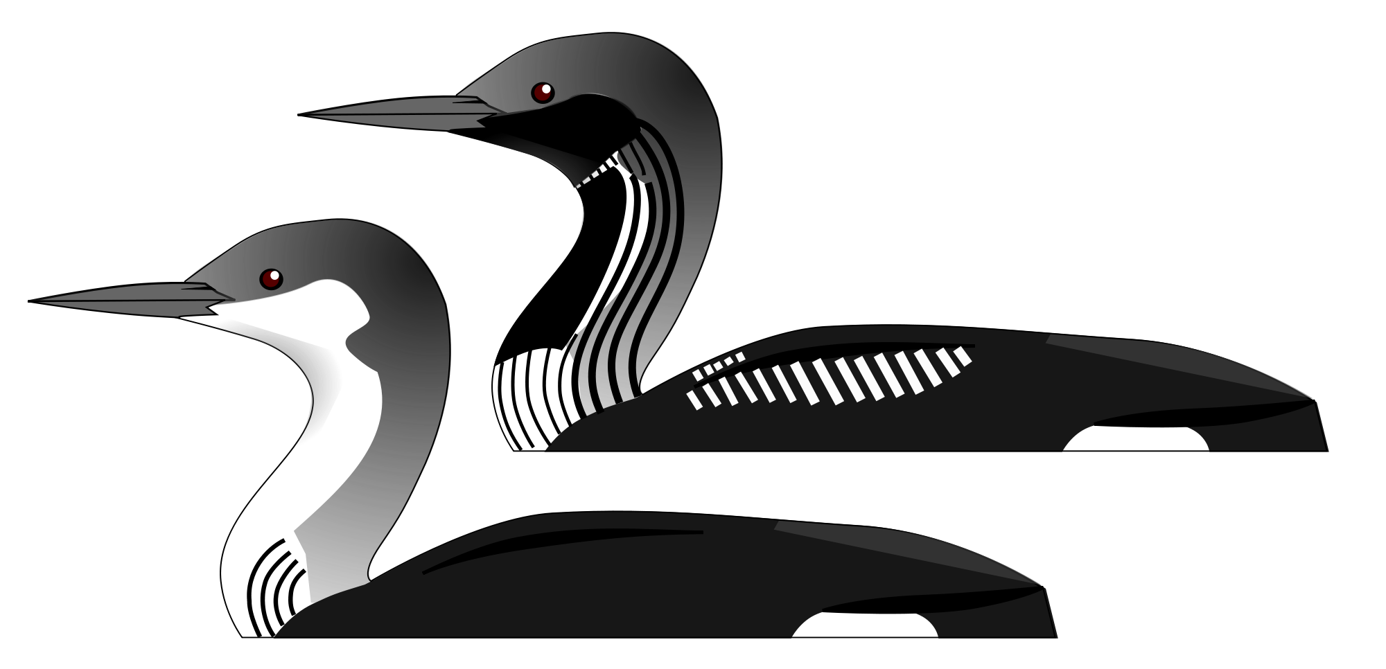 clipart bird loon