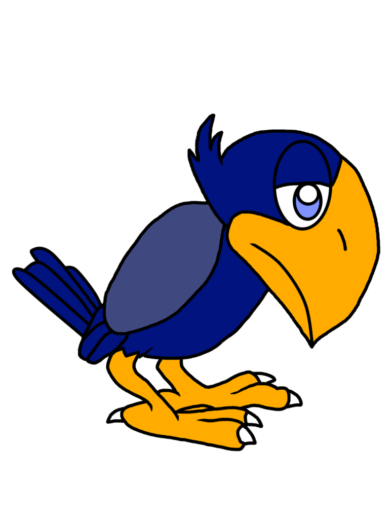 clipart bird maina
