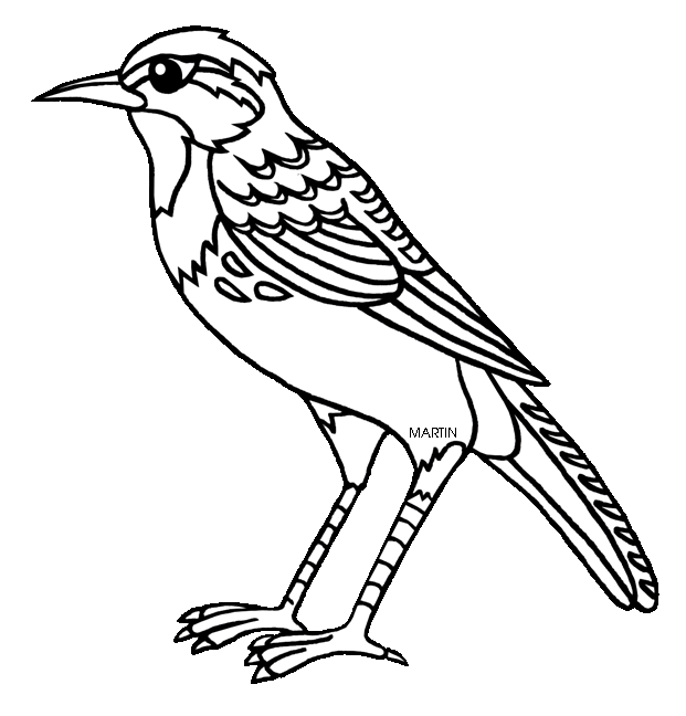 clipart bird meadowlark