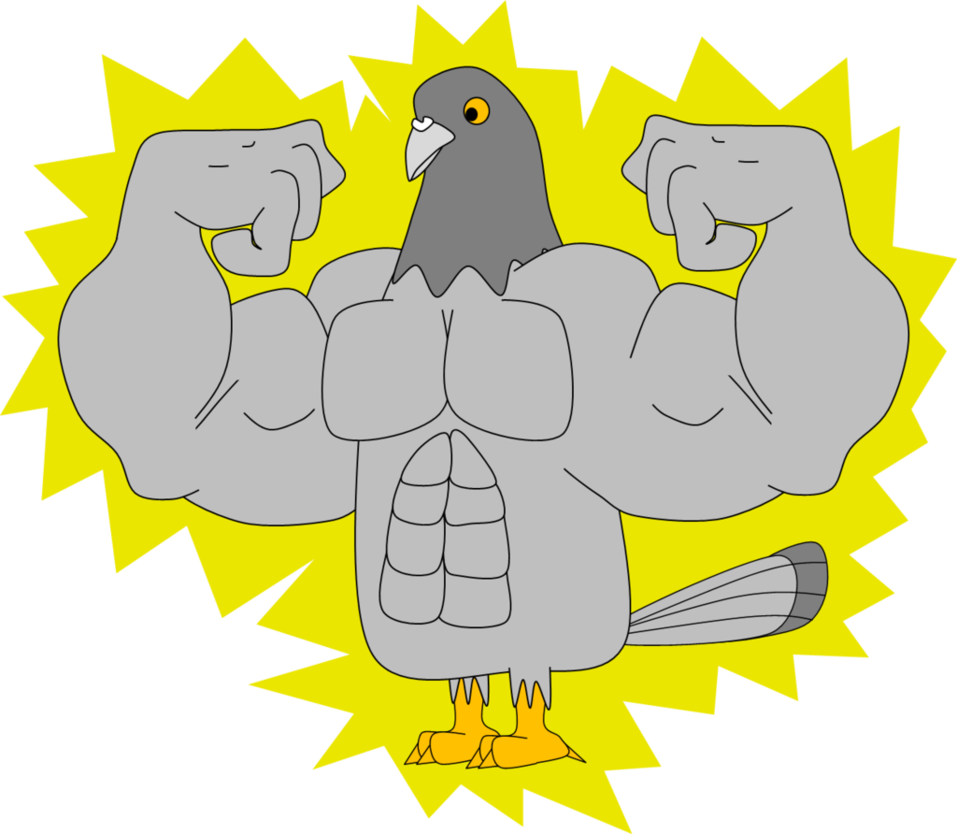 Muscle by beats me. Pigeon clipart pidgeon