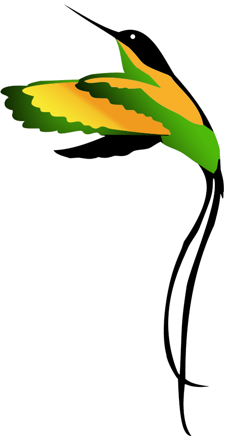 Jamaican national bird drawing. Evidence clipart specification