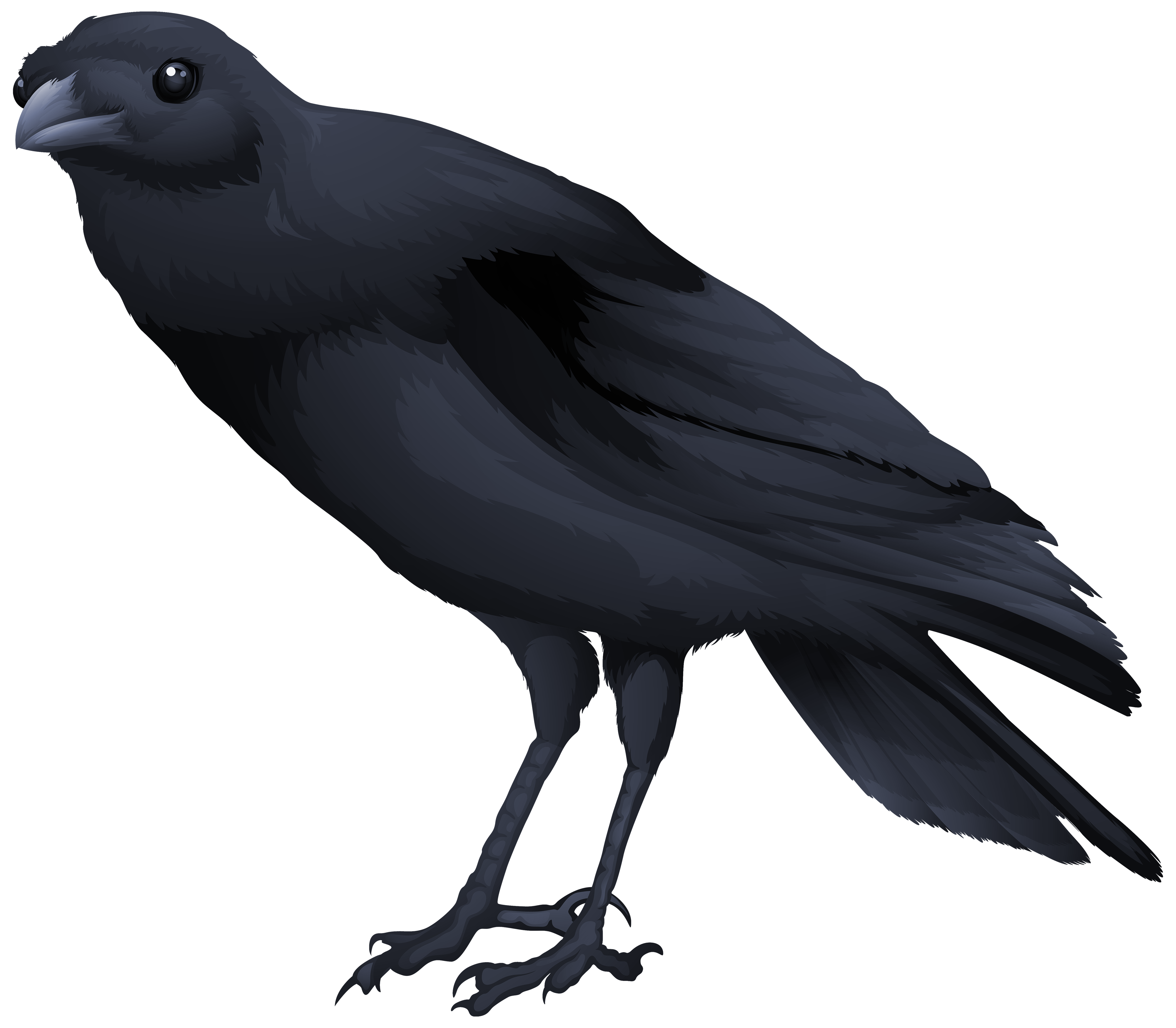 Bird png image gallery. Crow clipart black thing