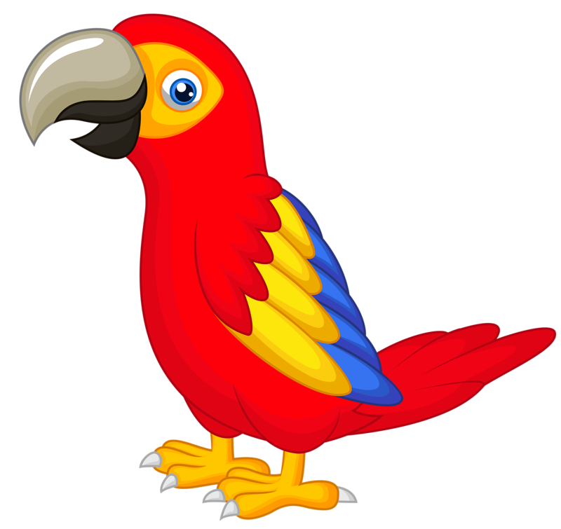 clipart bird parrot