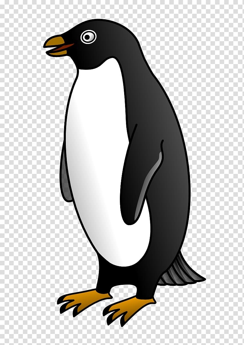 clipart penguin bird