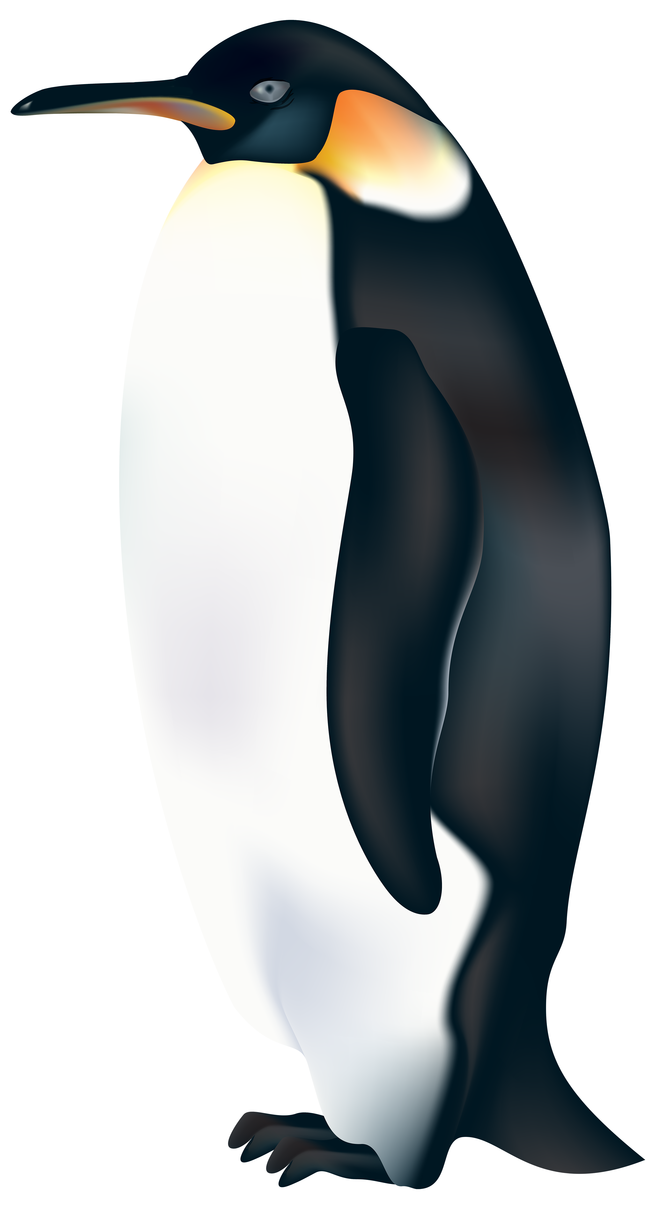 ice clipart penguin