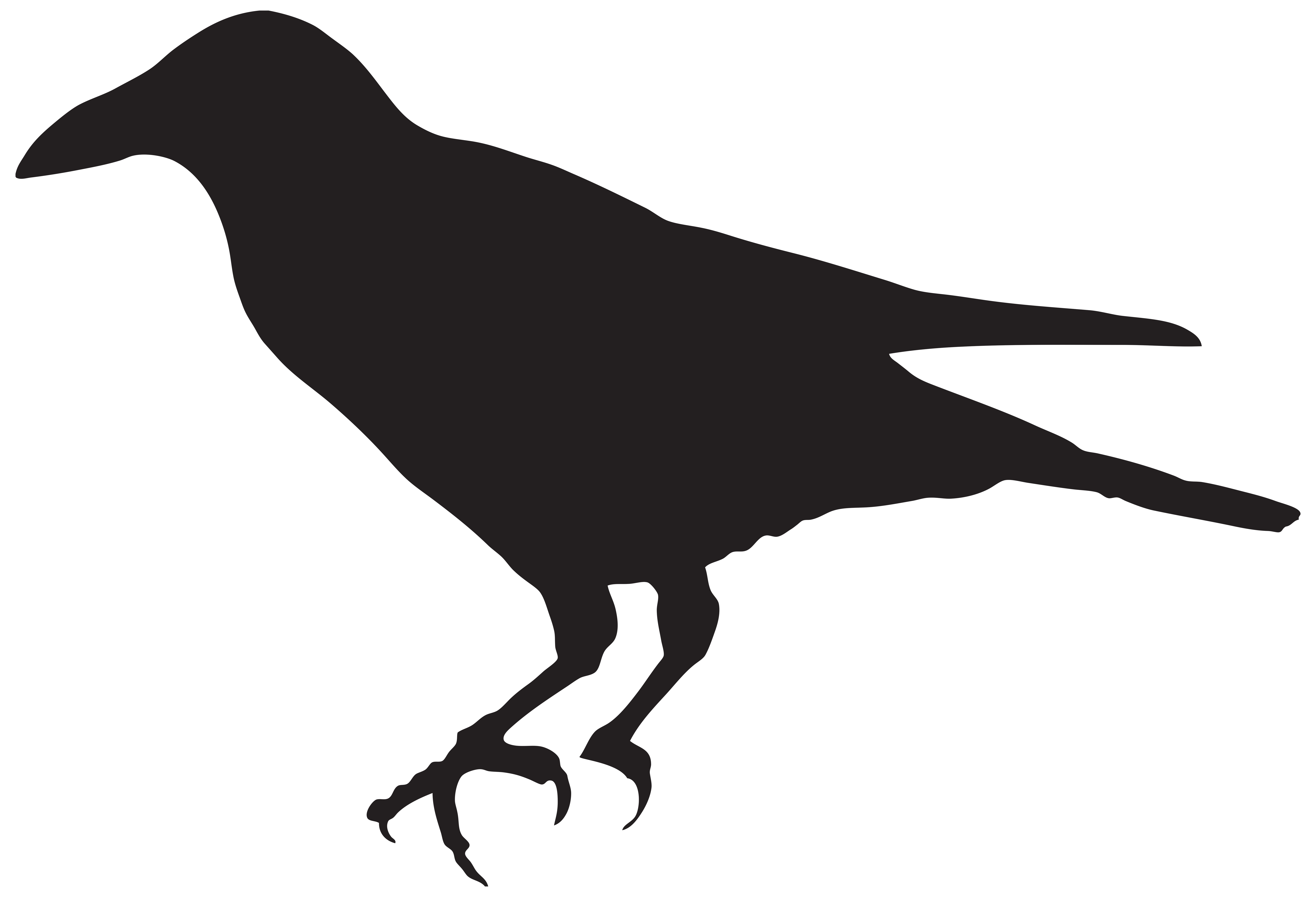 Silhouette png clip art. Crow clipart black australian