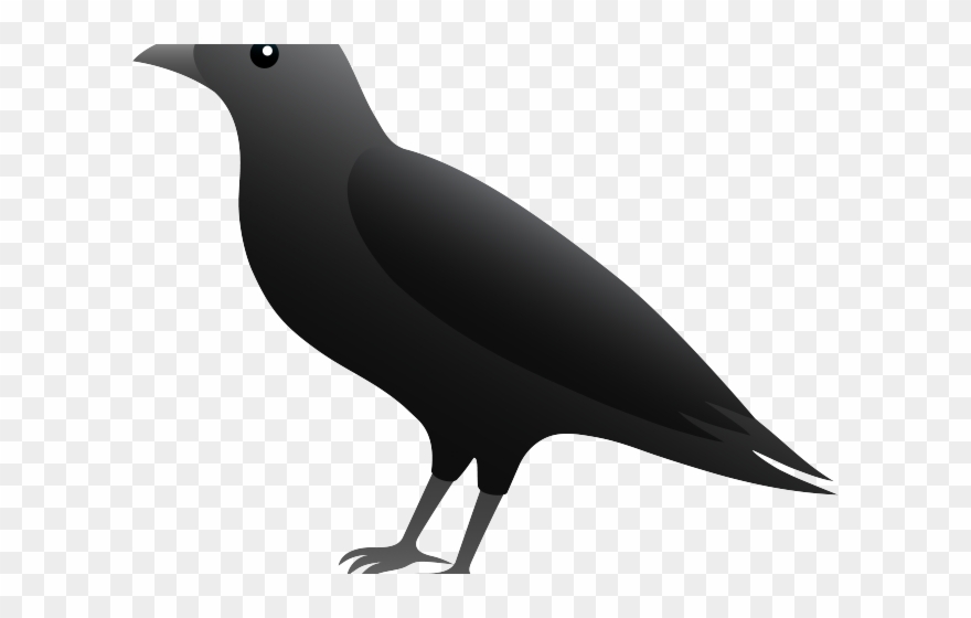 crow clipart blackbird