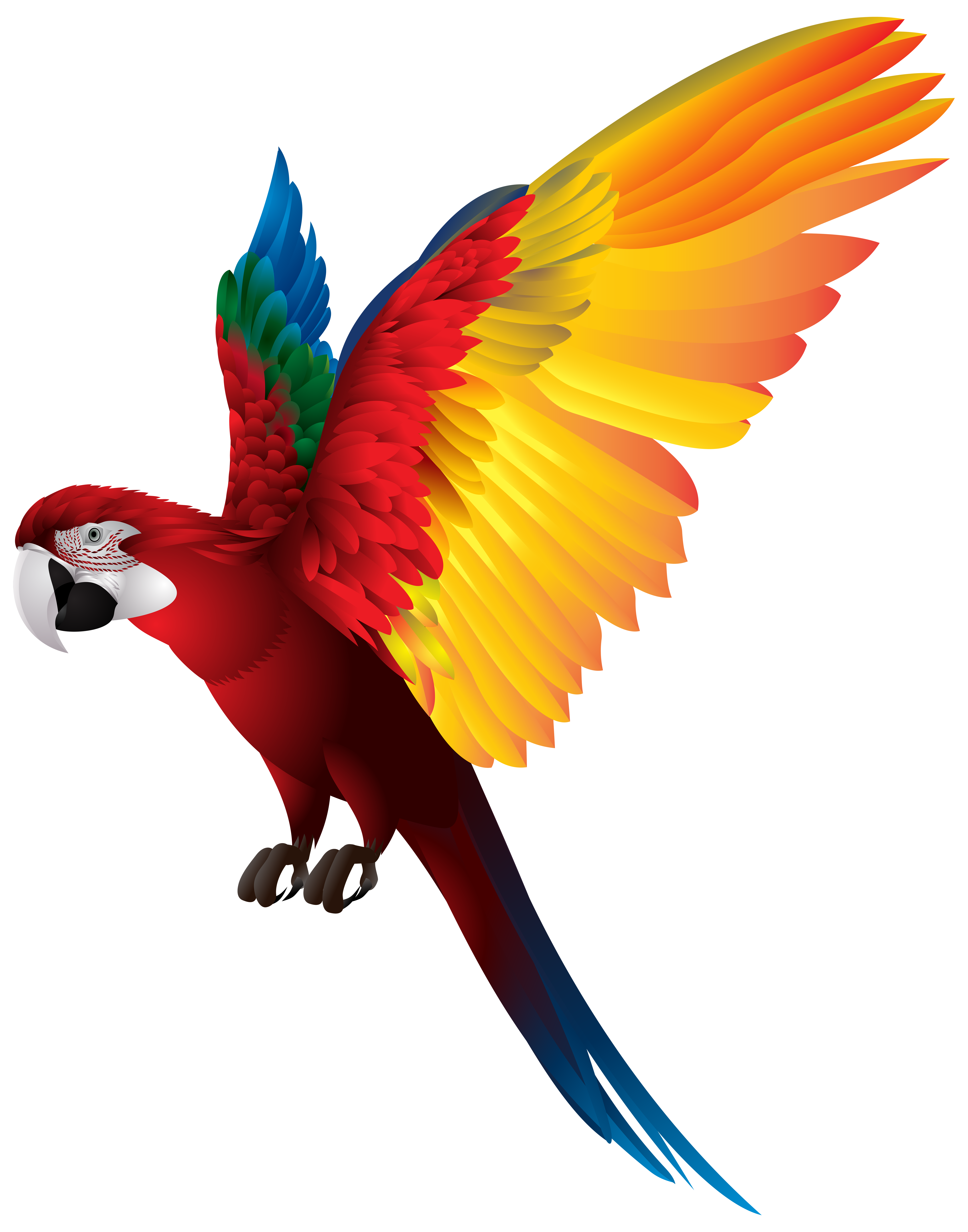Png transparent clip art. Flying clipart parrot