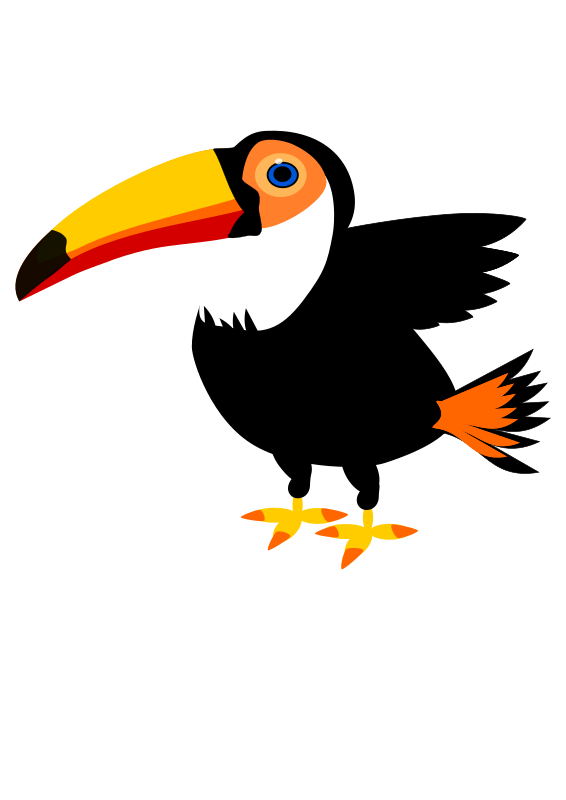 Toucan clipart bird's. Medium image png 