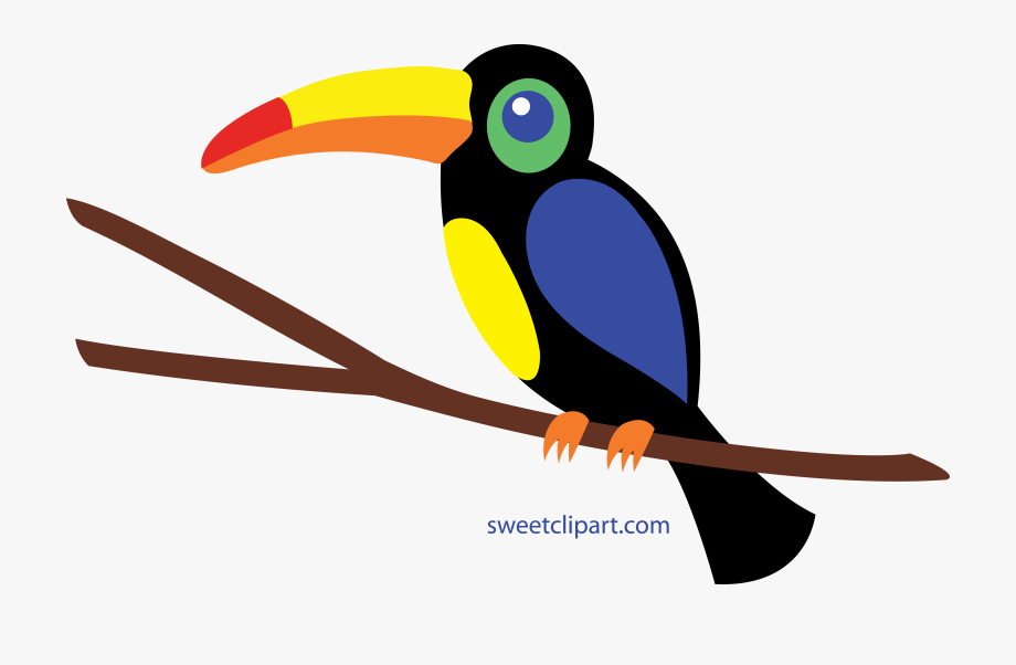 Toucan clipart bird's. Clip art free cliparts