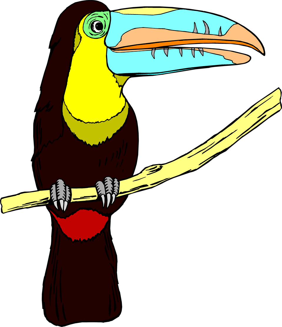 Free stock photo illustration. Toucan clipart bird's
