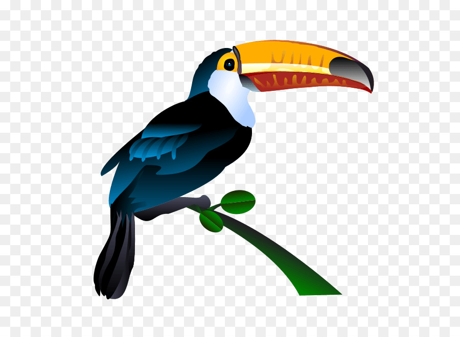 toucan clipart keel billed