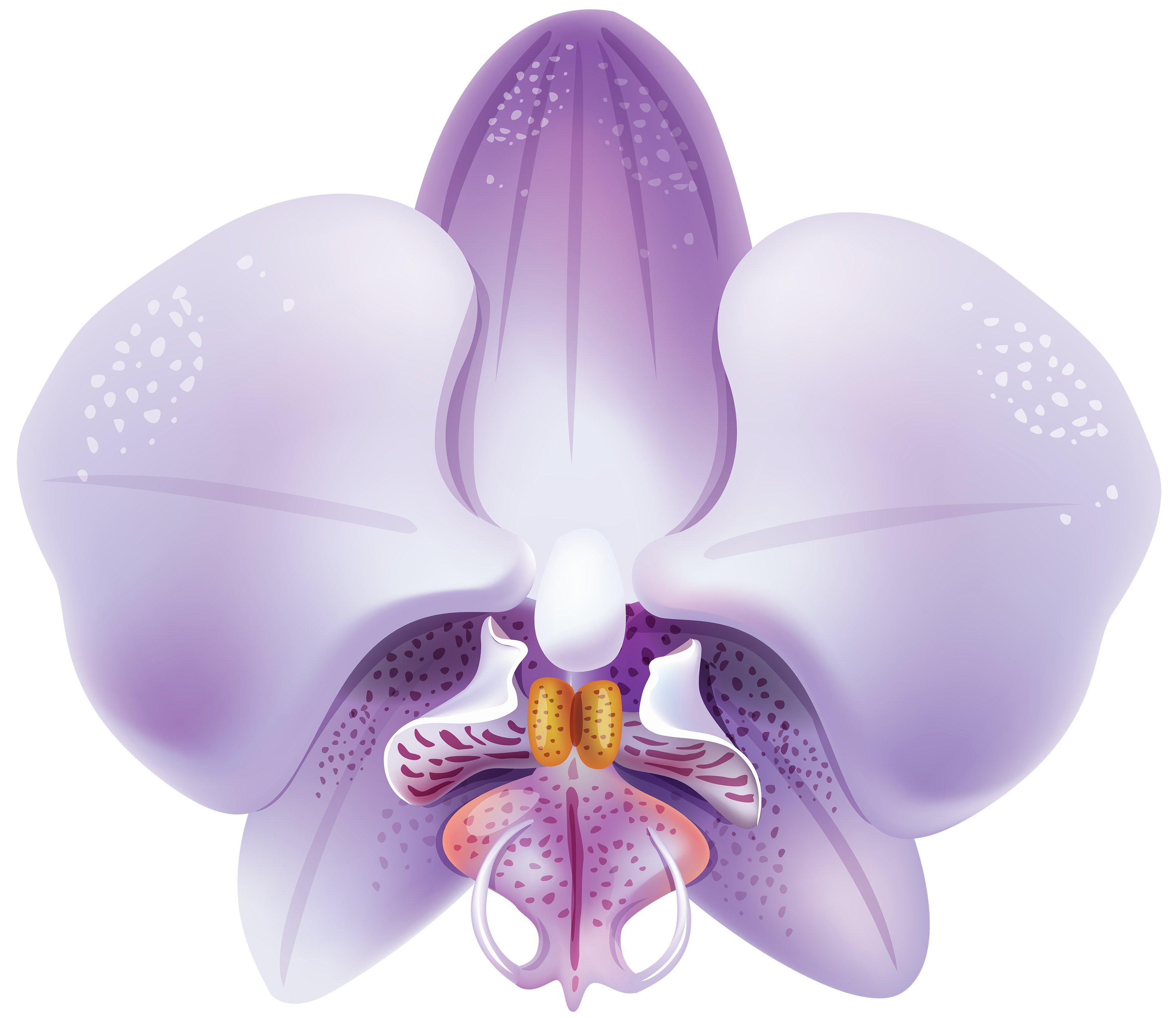 Orchid png best web. Padlock clipart violet