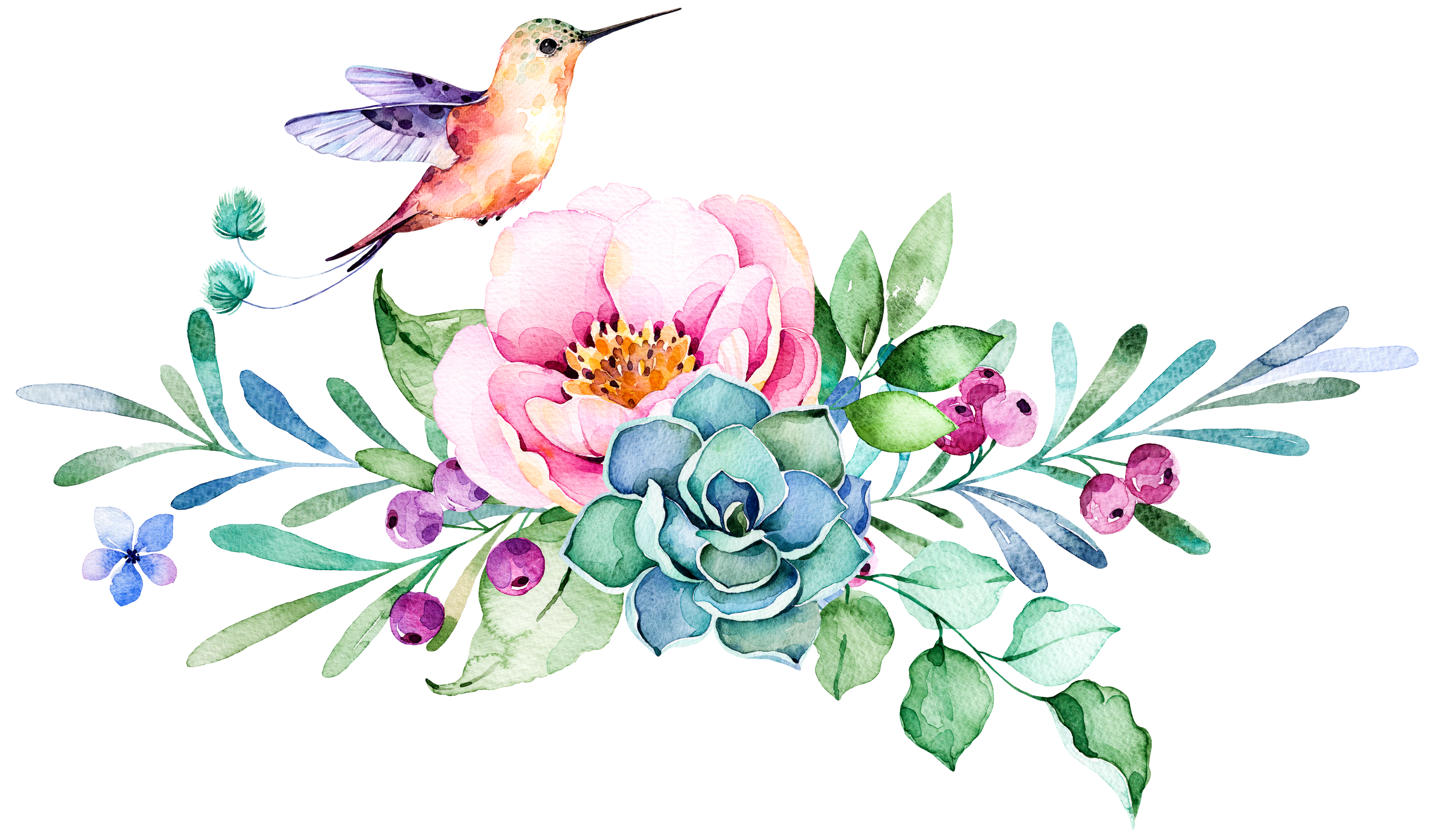 Download Clipart bird watercolor, Clipart bird watercolor ...