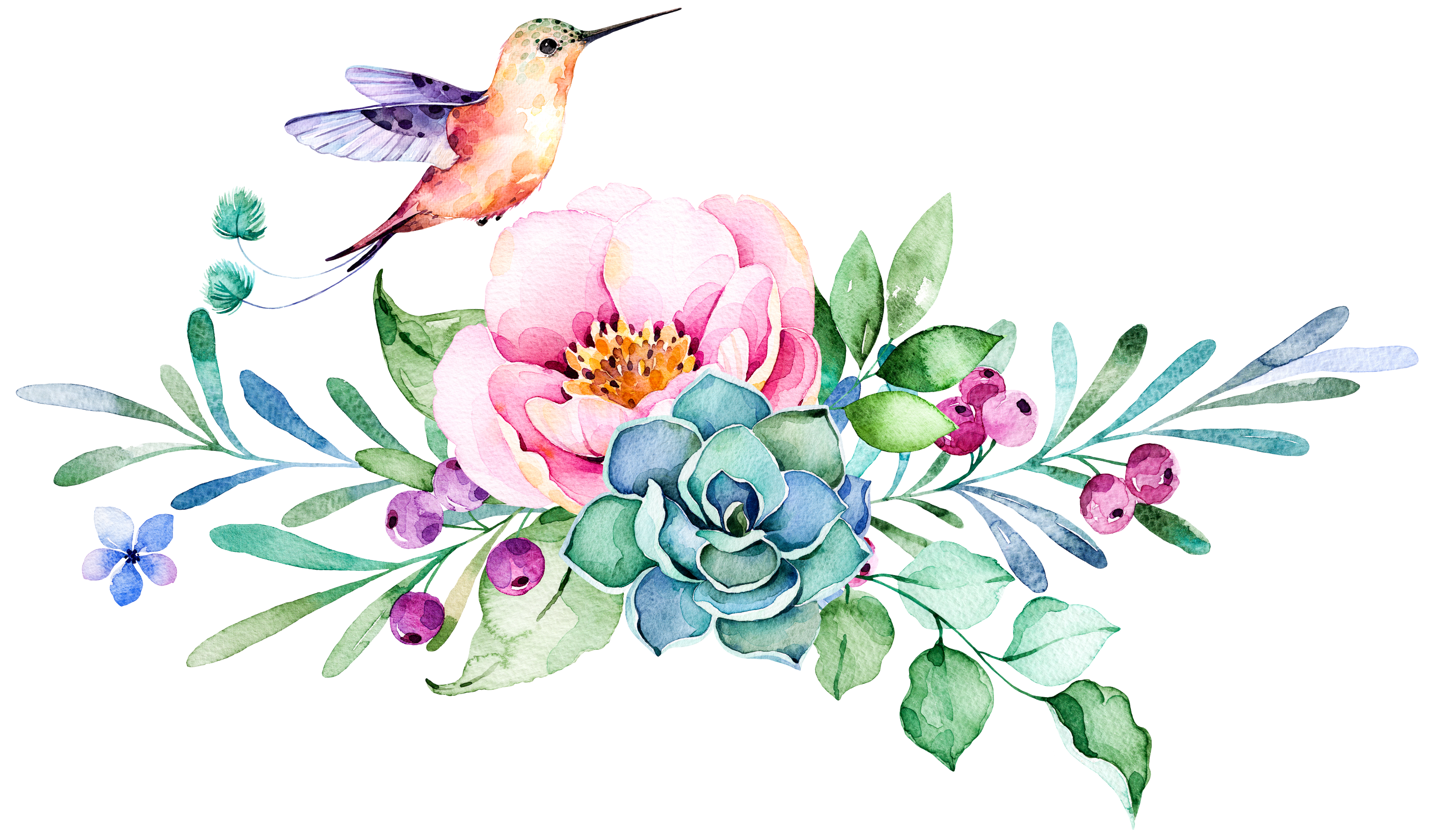 clipart bird watercolor