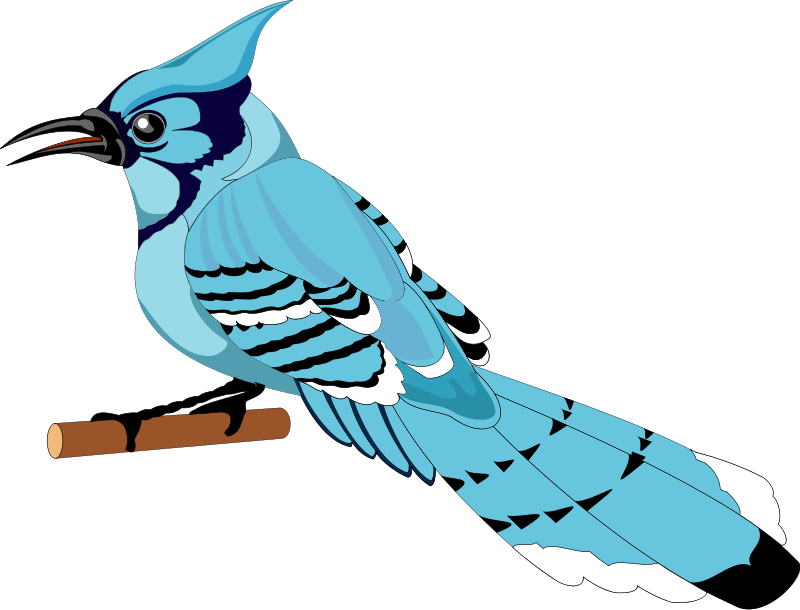 clipart birds weka