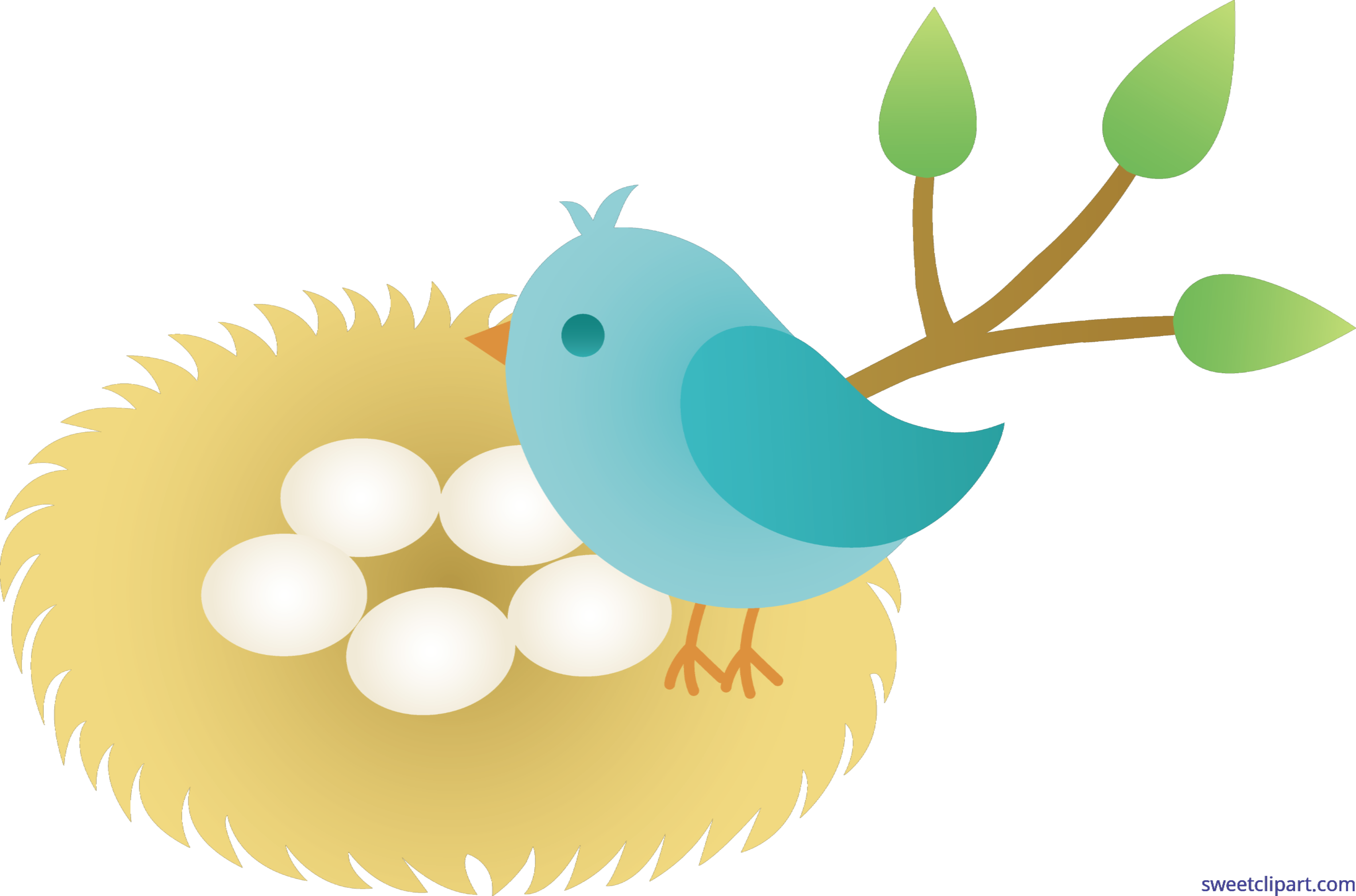 Unconditional bird cartoon with. Eggs clipart nest