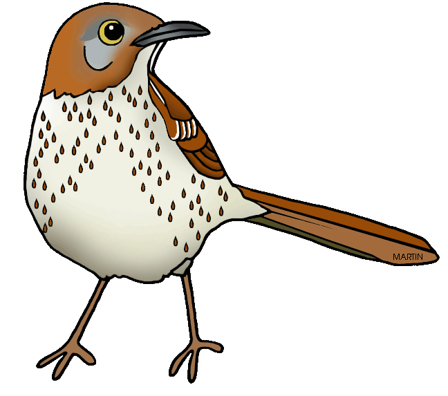 clipart birds brown