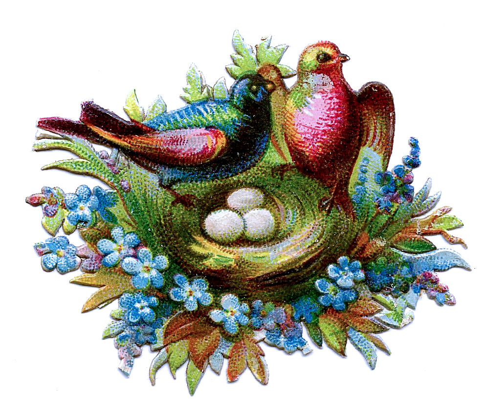 Victorian clip art scrap. Clipart birds floral