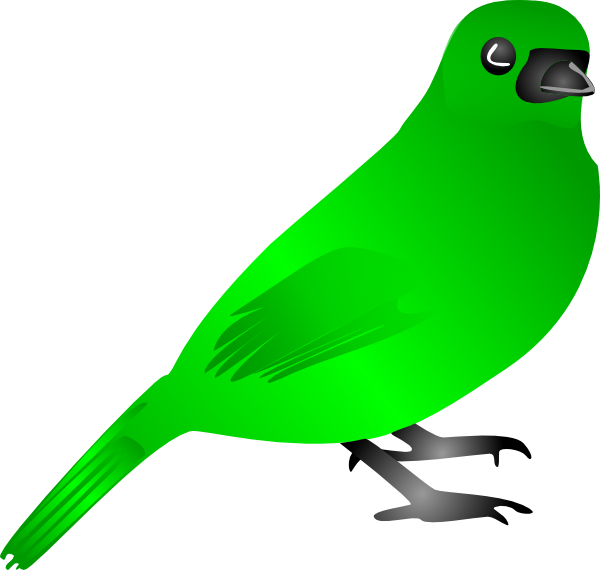 clipart birds green