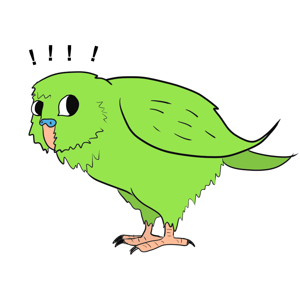 clipart birds kakapo