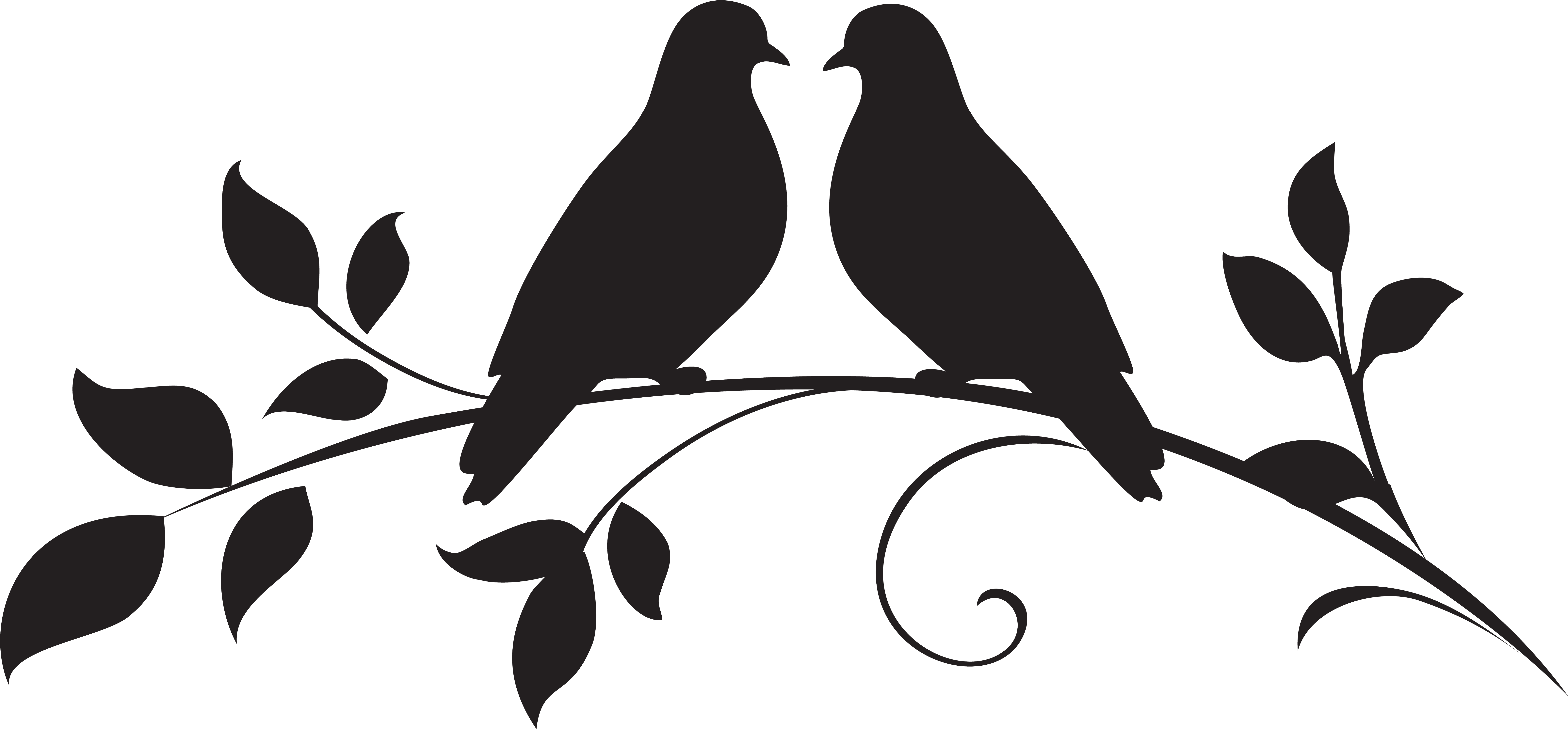 Clipart birds love. Dove silhouette png clip