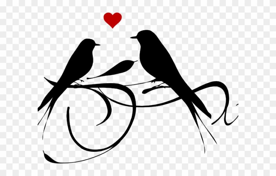 Clipart birds love. Black and white png