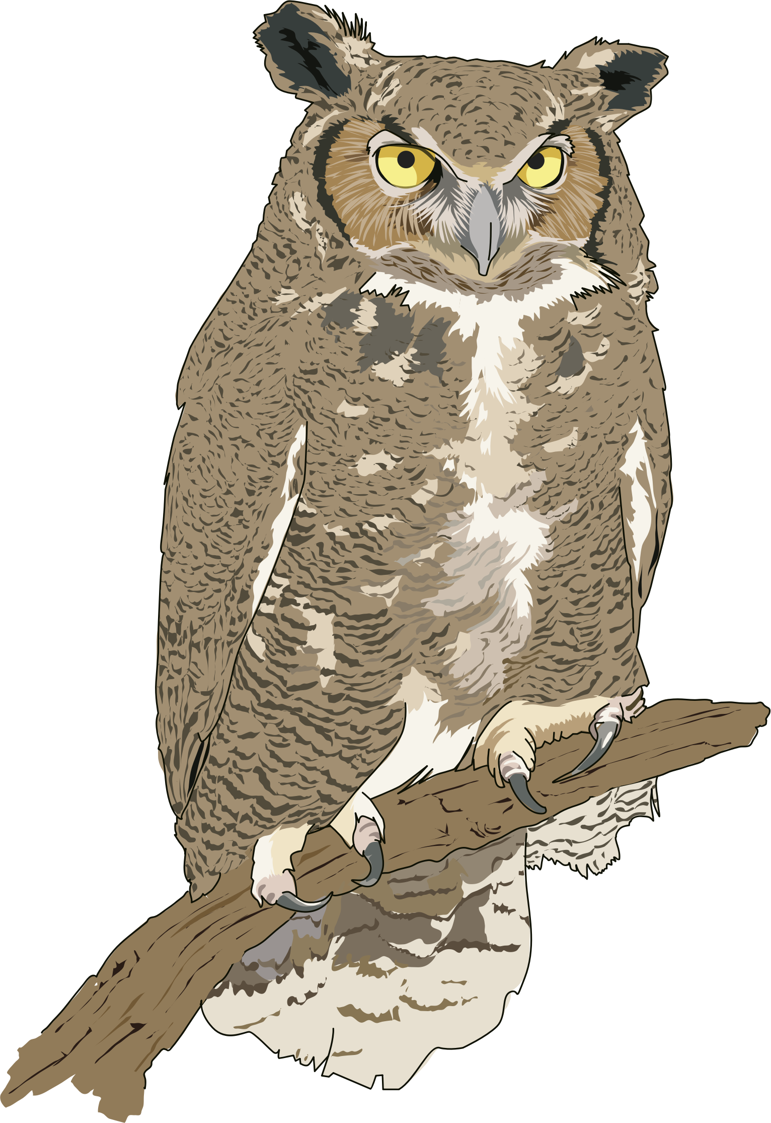 Hibou grand duc eagle. Kind clipart realistic animal