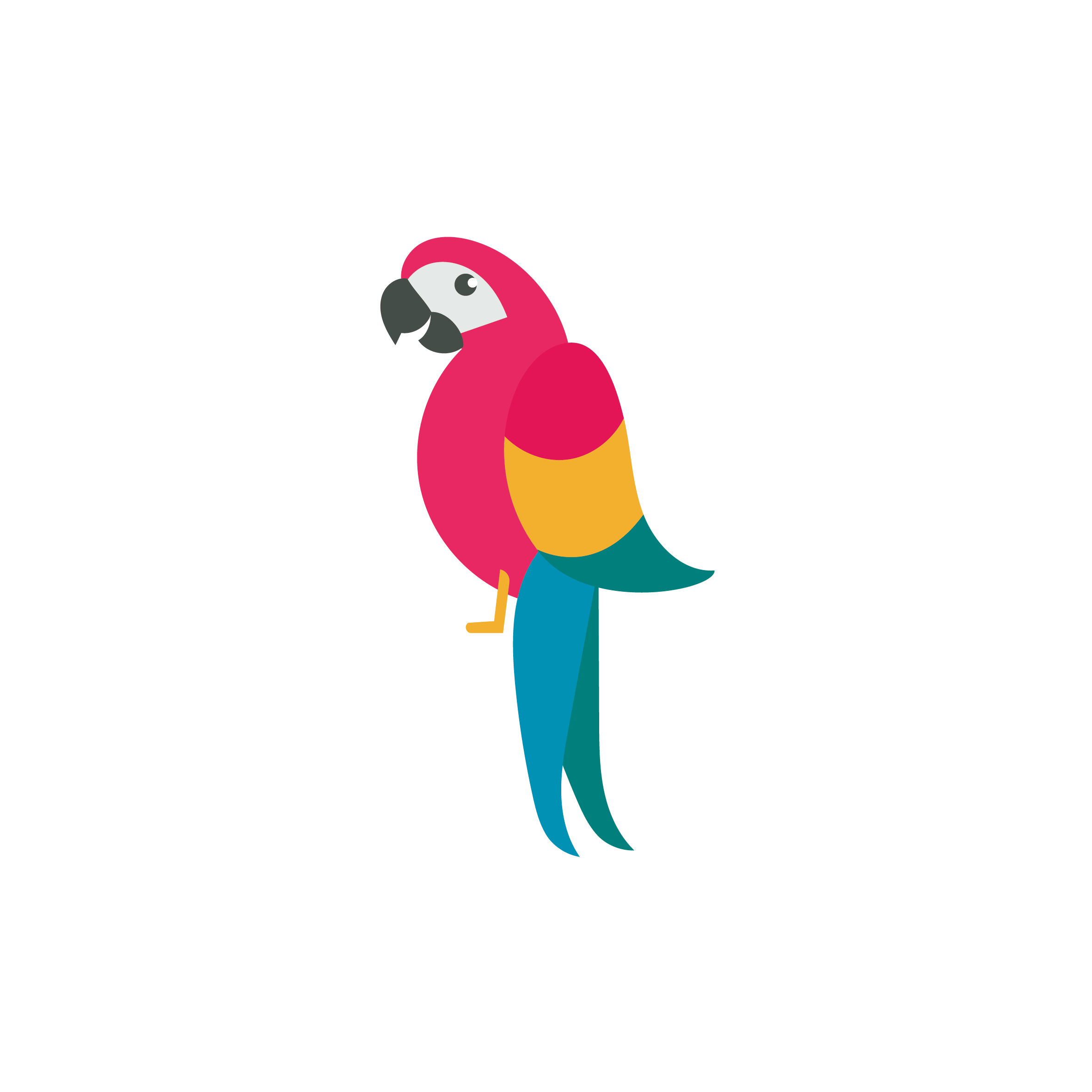 clipart birds parrot