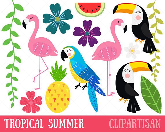 Tropical clip art . Clipart birds summer