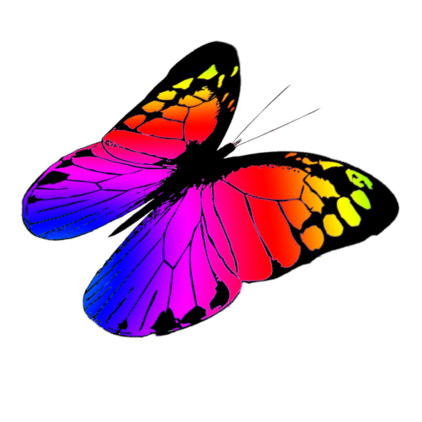 Insect clipart colorful flying butterfly. Free butterflies drawing