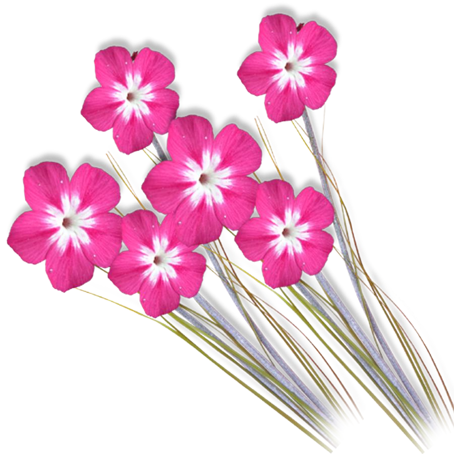 Background new photoshop layout. Clipart birthday psd