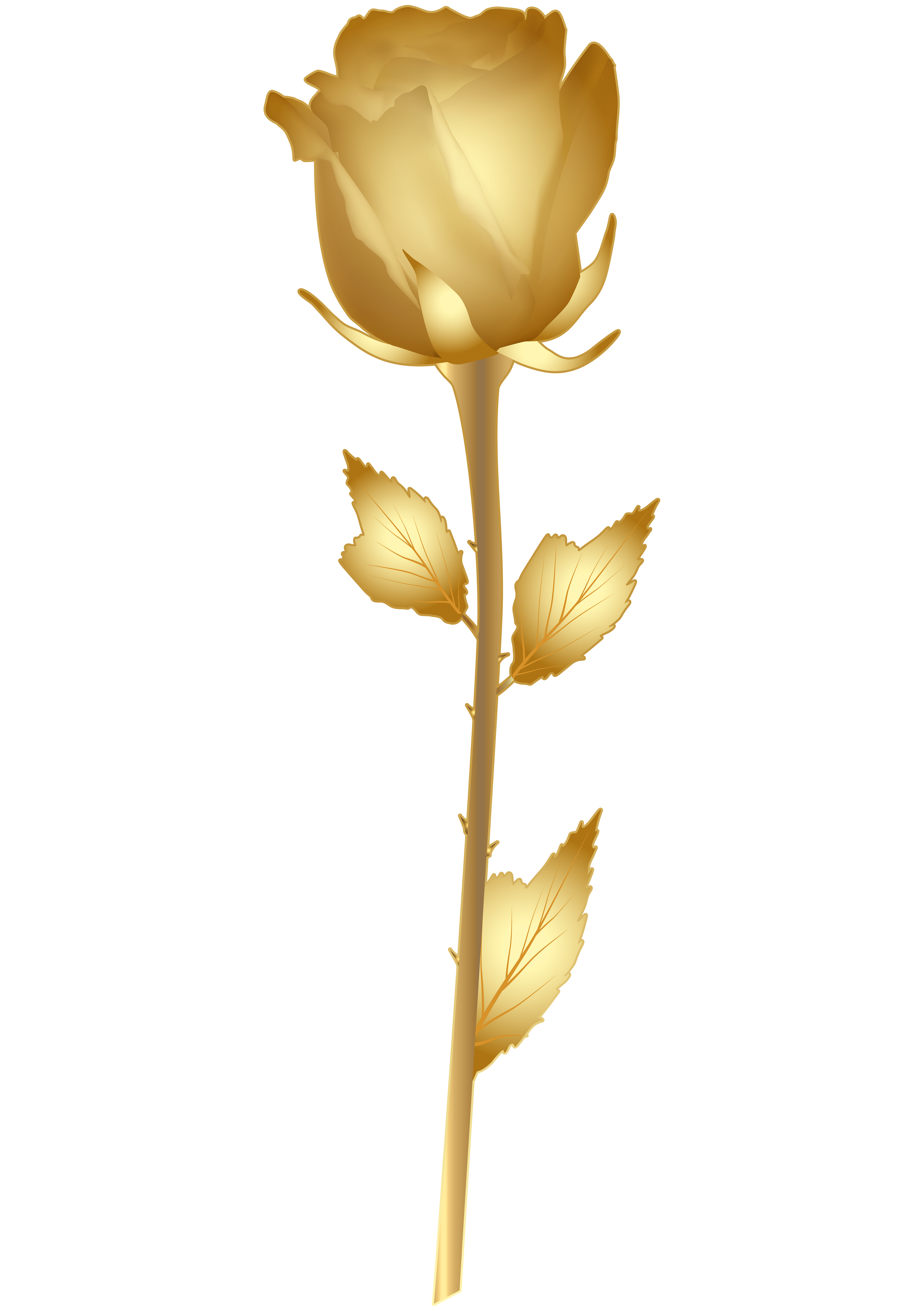 Beautiful png clip art. Clipart rose rose gold