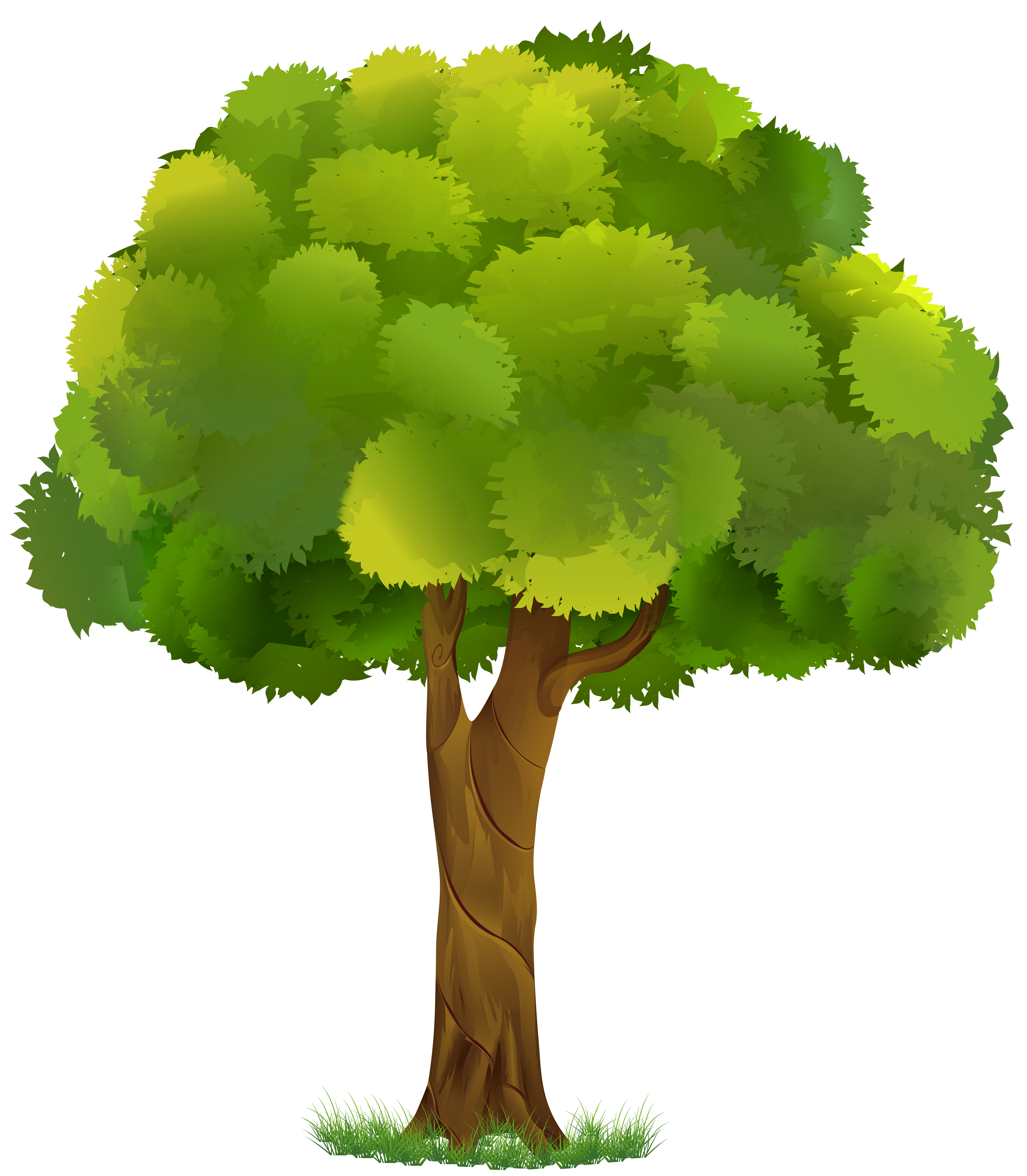 clipart tree transparent background