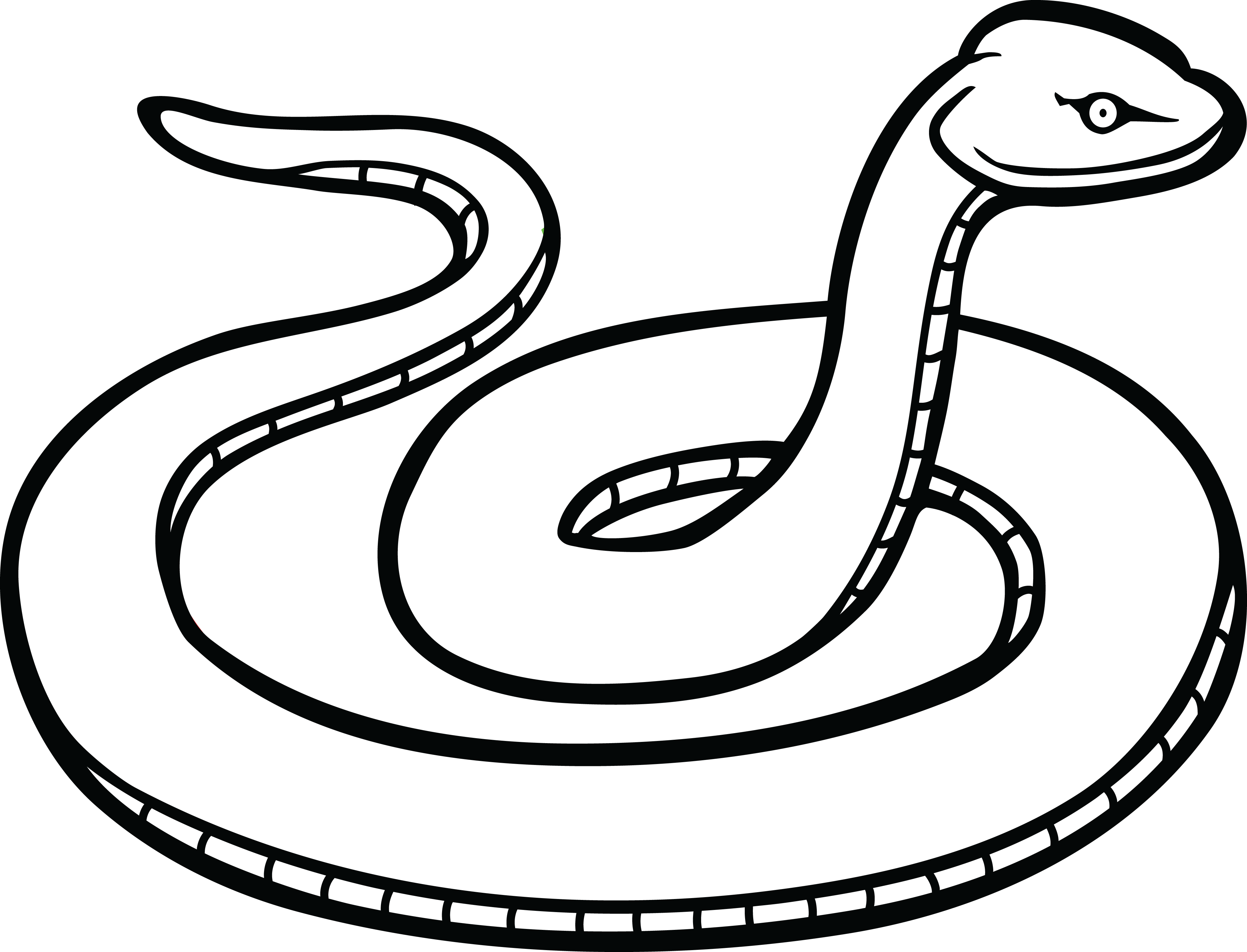 picture clipart snake